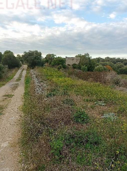 Terreno a Ostuni in SP14 - Foto 4