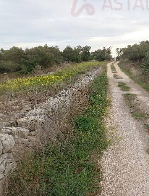 Terreno a Ostuni in SP14 - Foto 5