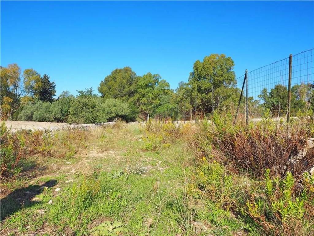 Terreno a Scicli - Foto 4