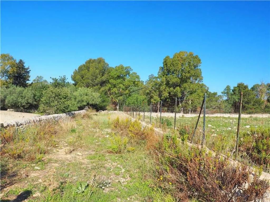 Terreno a Scicli - Foto 5