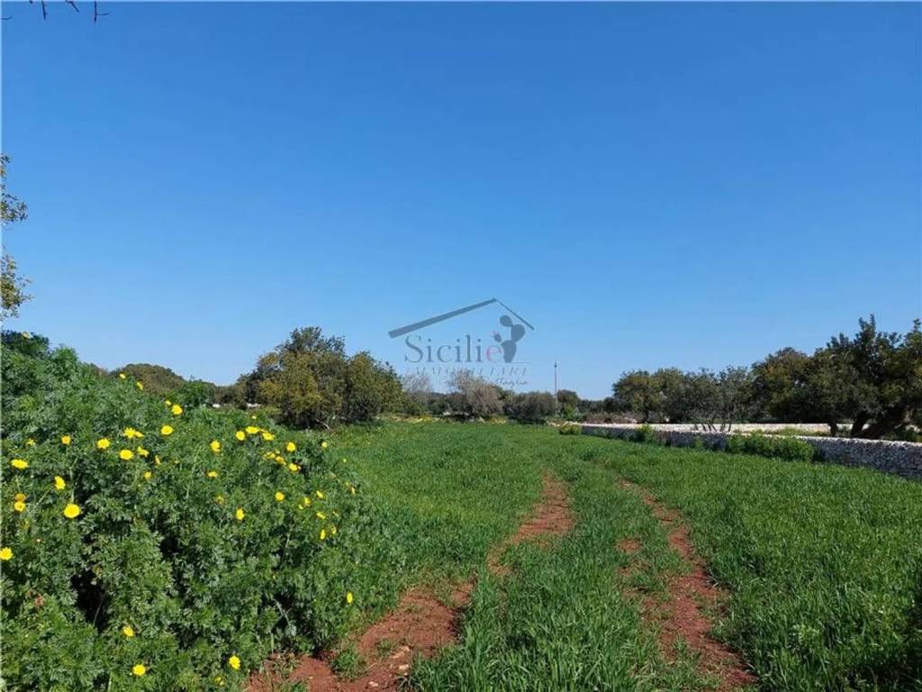 Terreno a Scicli - Foto 2