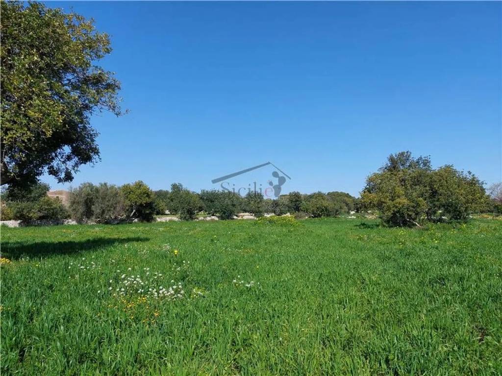 Terreno a Scicli - Foto 3