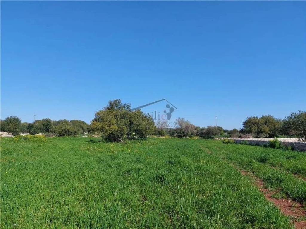 Terreno a Scicli - Foto 4