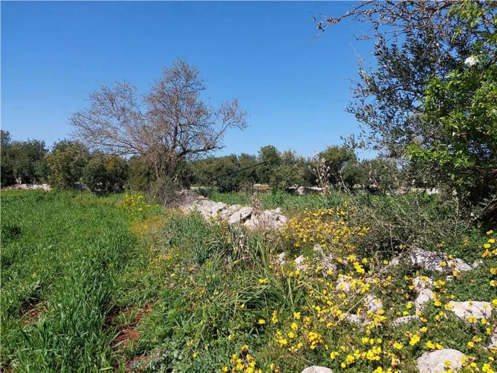 Terreno a Scicli - Foto 5