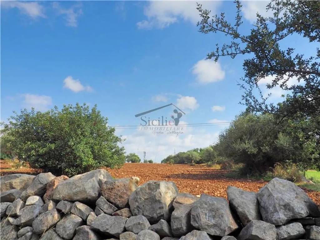 Terreno a Scicli - Foto 5