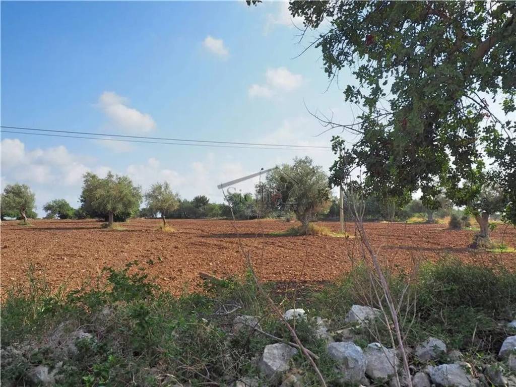 Terreno a Scicli - Foto 3