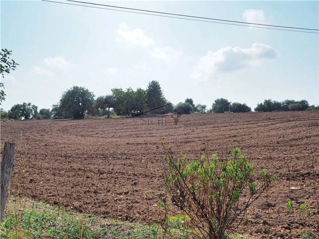 Terreno a Scicli - Foto 4