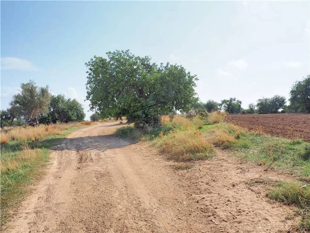 Terreno a Scicli - Foto 5