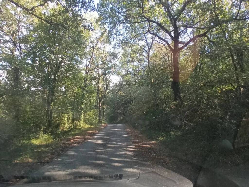 Rustico / casale a Barberino di mugello - Foto 2