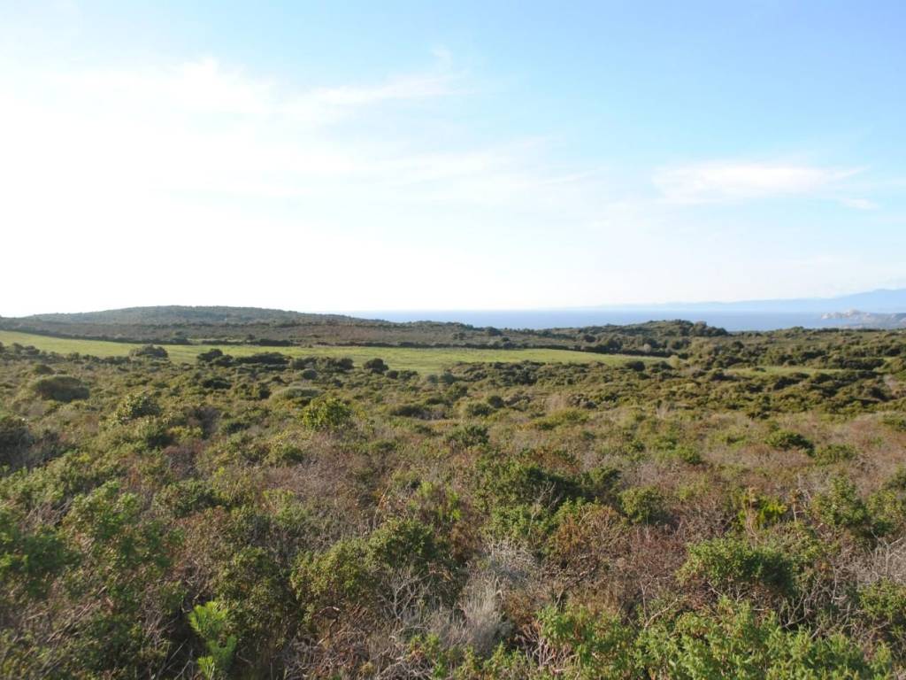 Terreno a Aglientu - Foto 2