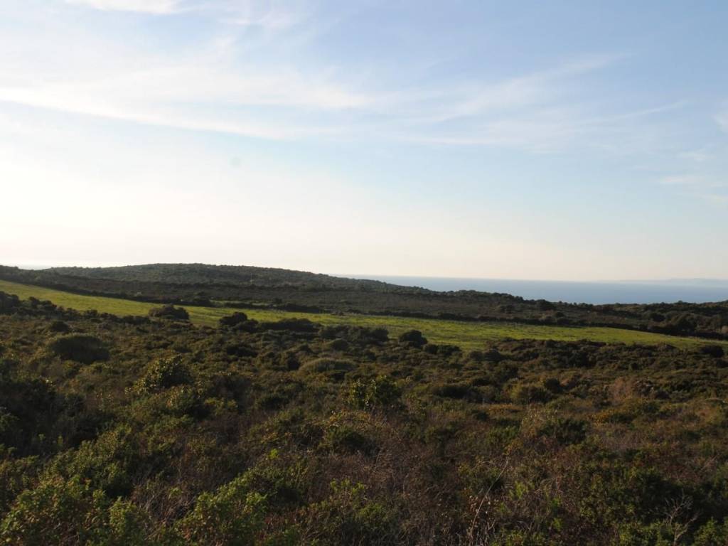 Terreno a Aglientu - Foto 3