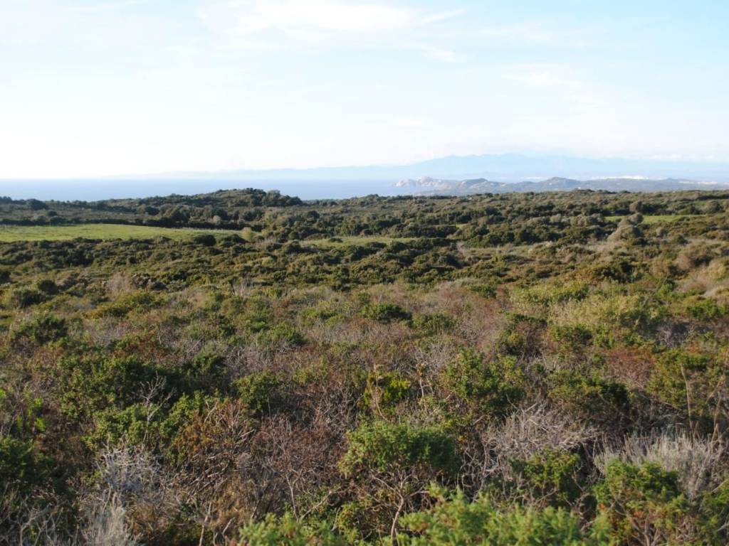 Terreno a Aglientu - Foto 4