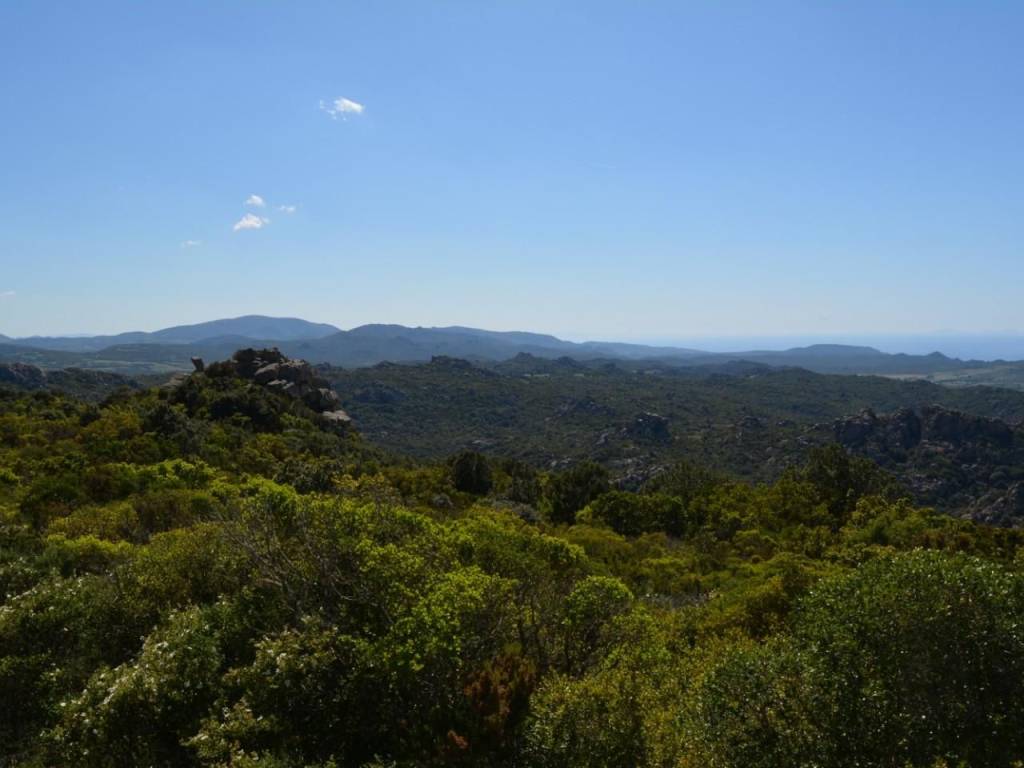 Rustico / casale a Aggius - Foto 2