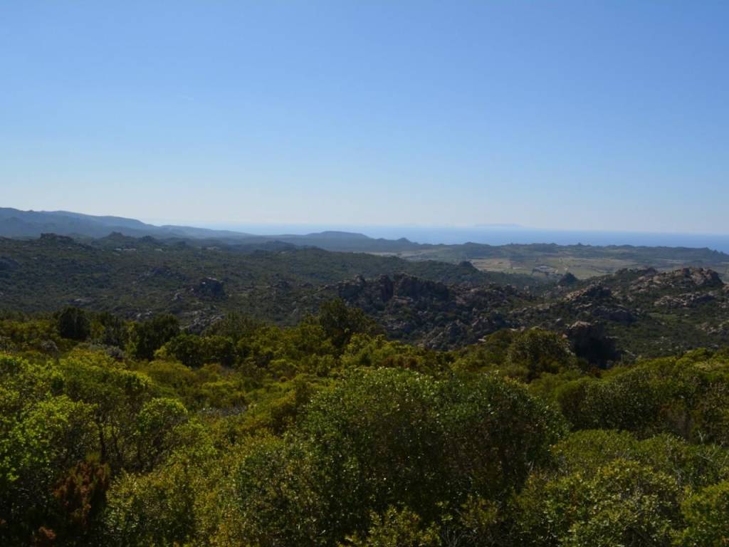 Rustico / casale a Aggius - Foto 3