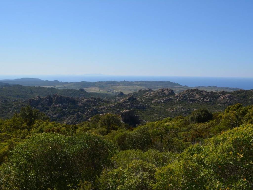 Rustico / casale a Aggius - Foto 4