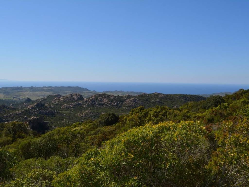 Rustico / casale a Aggius - Foto 5