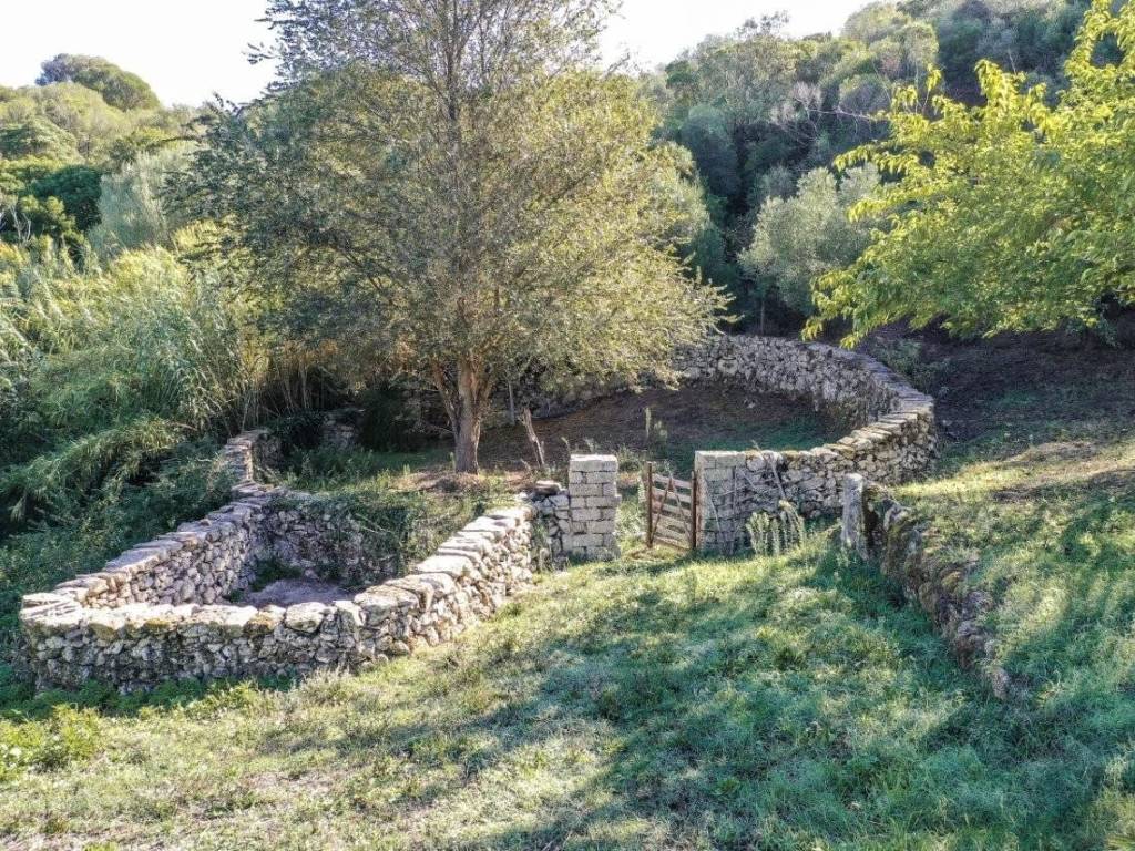 Rustico / casale a Luogosanto - Foto 2