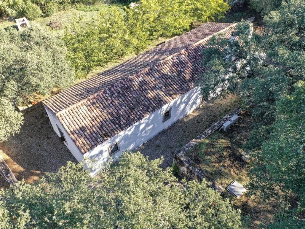 Rustico / casale a Luogosanto - Foto 3
