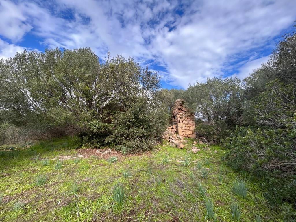 Rustico / casale a Arzachena - Foto 4