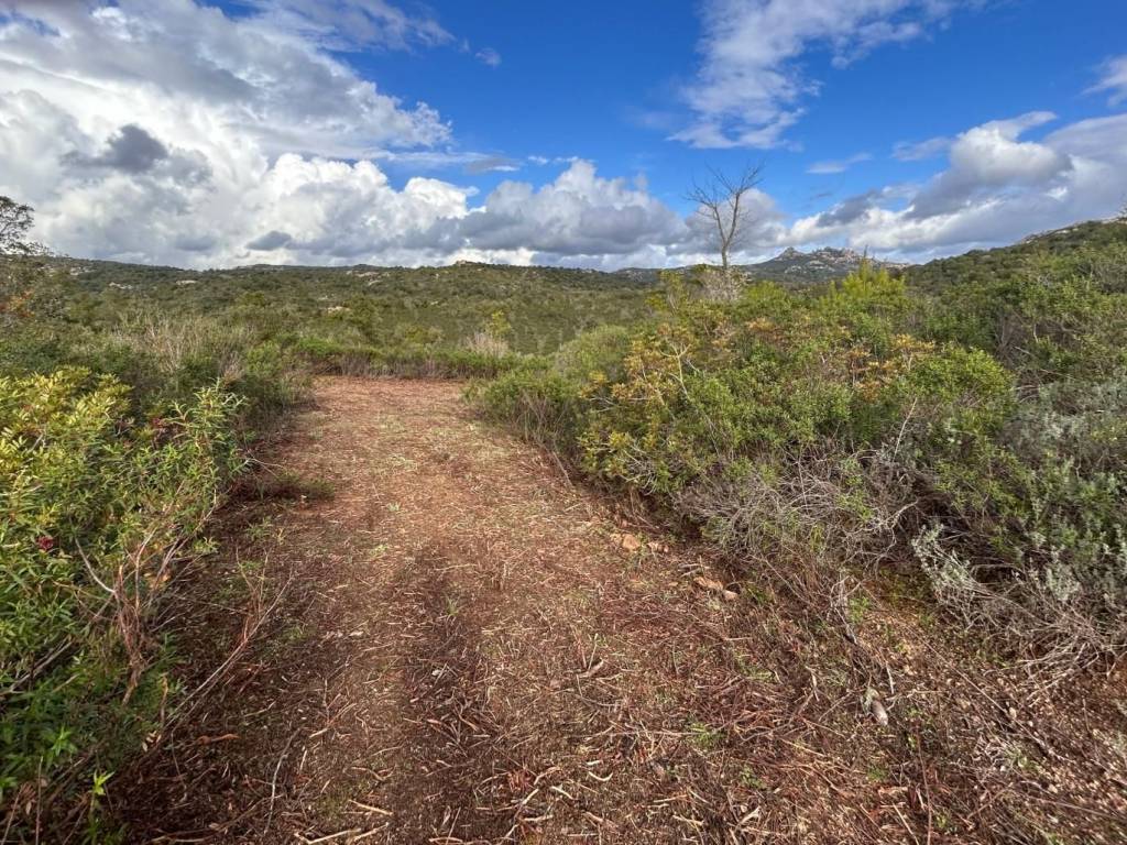 Rustico / casale a Arzachena - Foto 5
