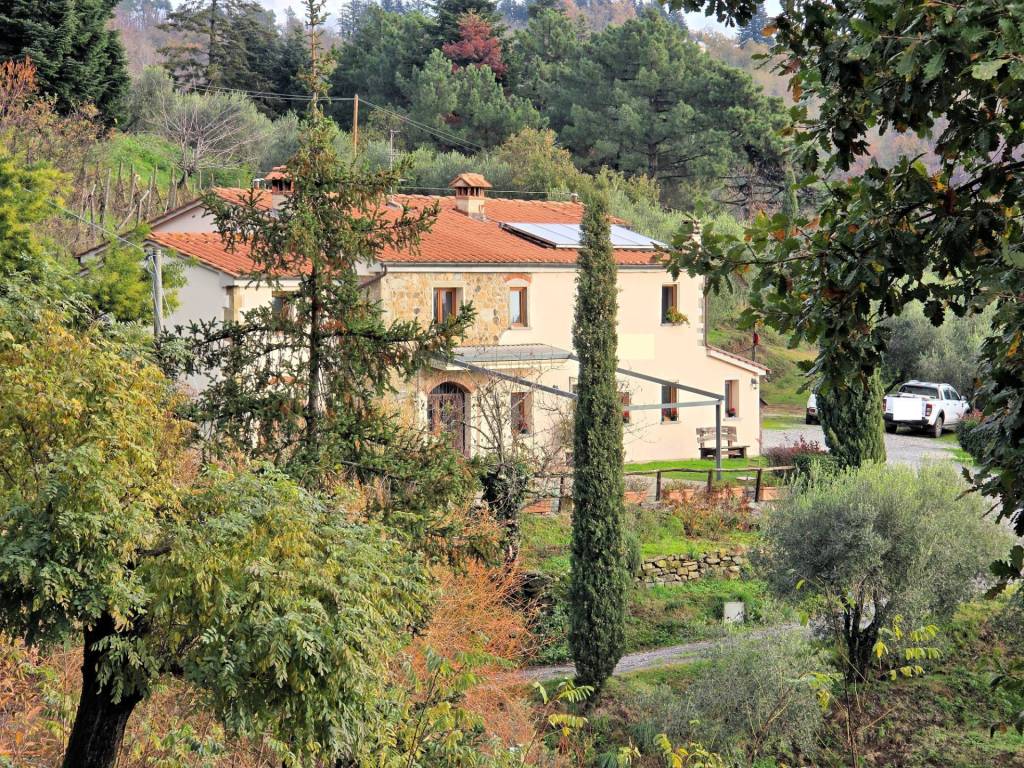 Rustico / casale a Marliana - Foto 2