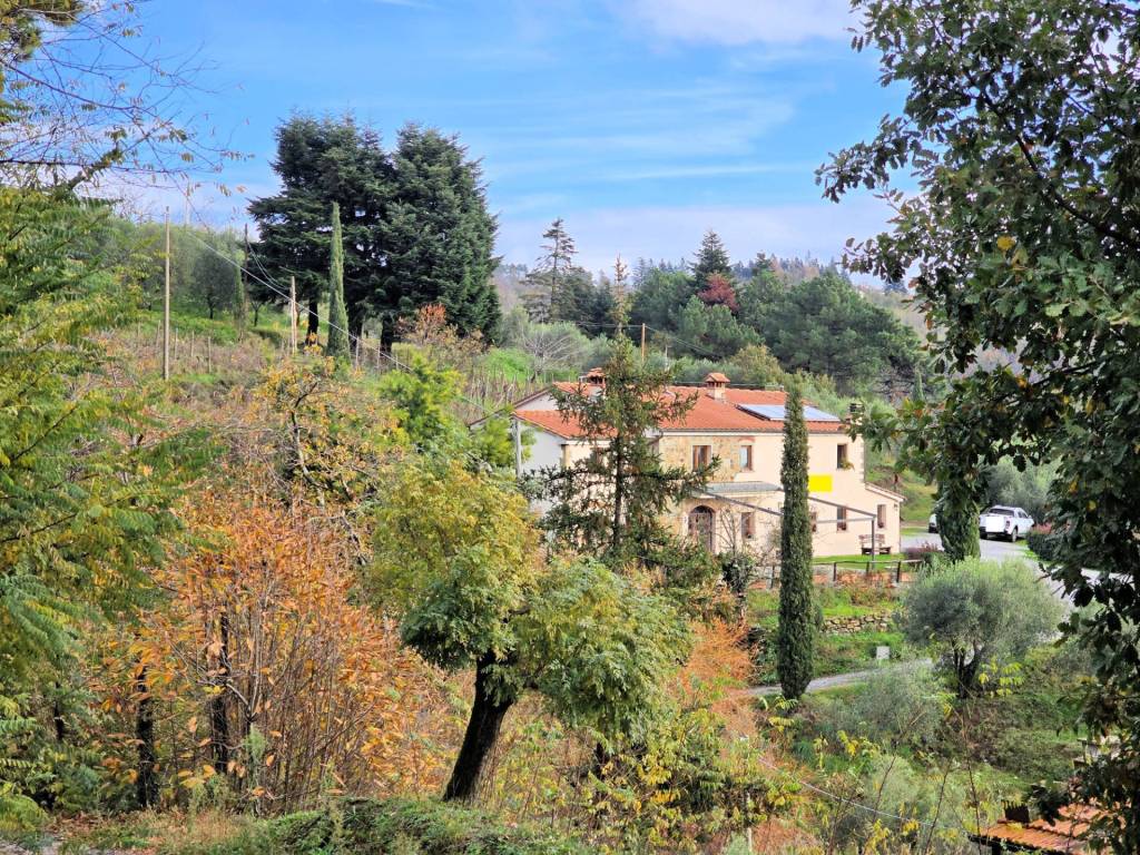 Rustico / casale a Marliana - Foto 5