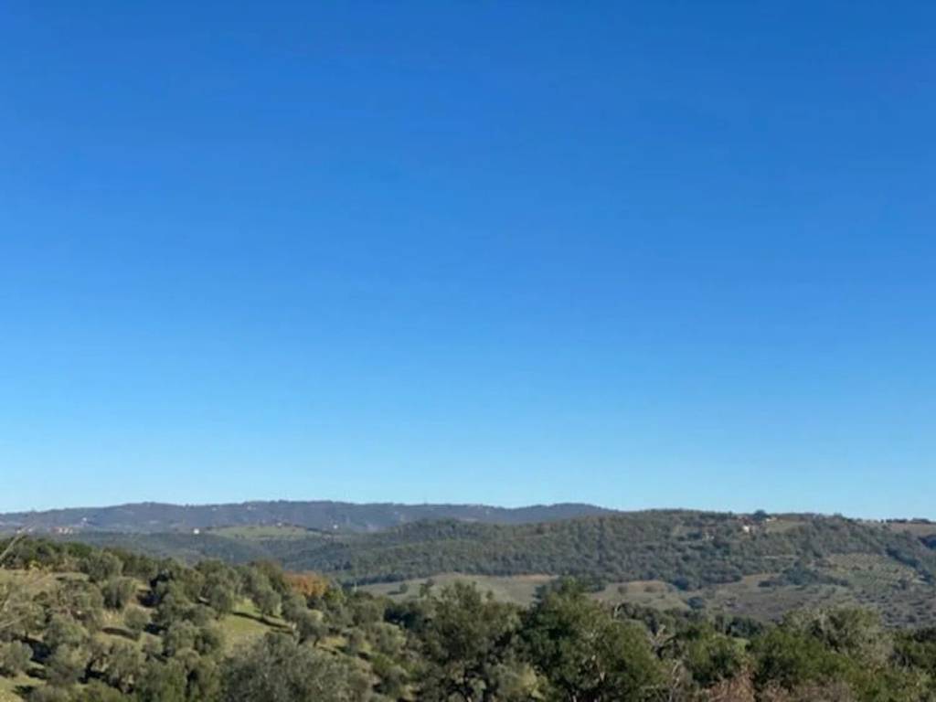 Villa a Magliano in toscana in Zona Bestiale Montiano, 3 - Foto 4