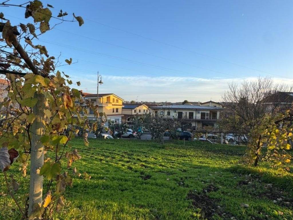 Terreno a Vibo valentia in Viale Papa Giovanni Paolo II - Foto 5