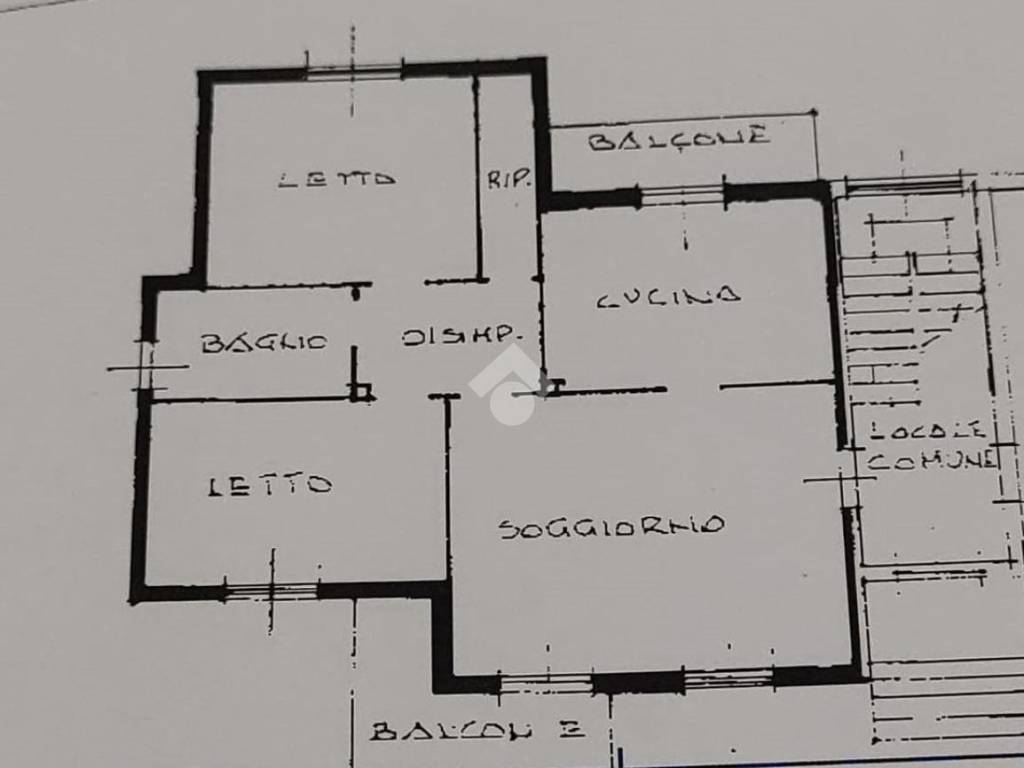 immagine di copertina