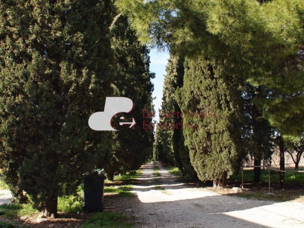Rustico / casale a Andria - Foto 4