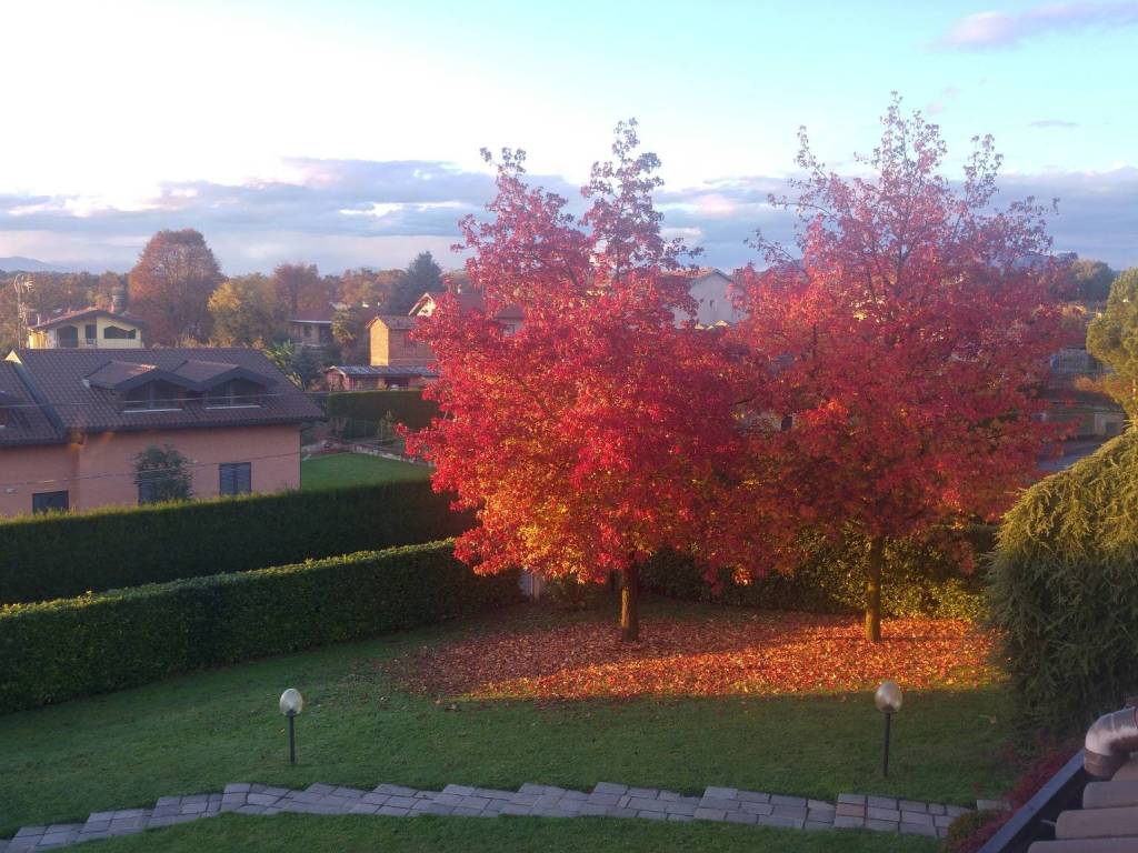 Villa a Castronno in Via Gioacchino Rossini, 4 - Foto 4