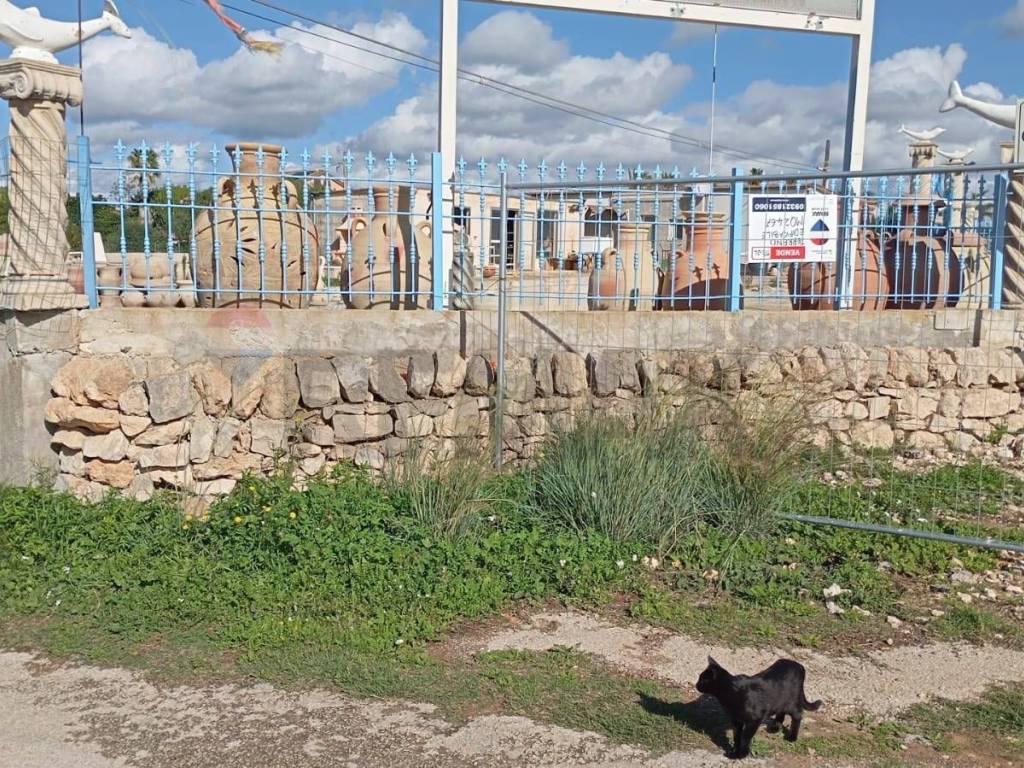 Terreno a Ragusa in Cerasella - Foto 2