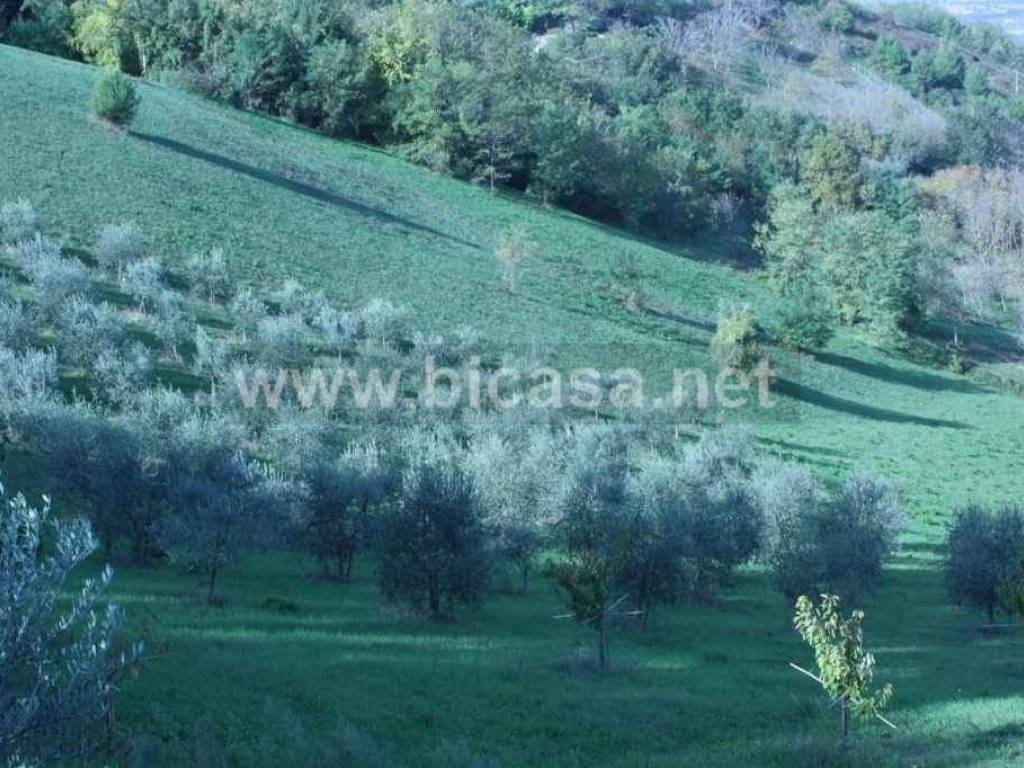Terreno a Pesaro in Strada Madonna del Monte - Foto 2