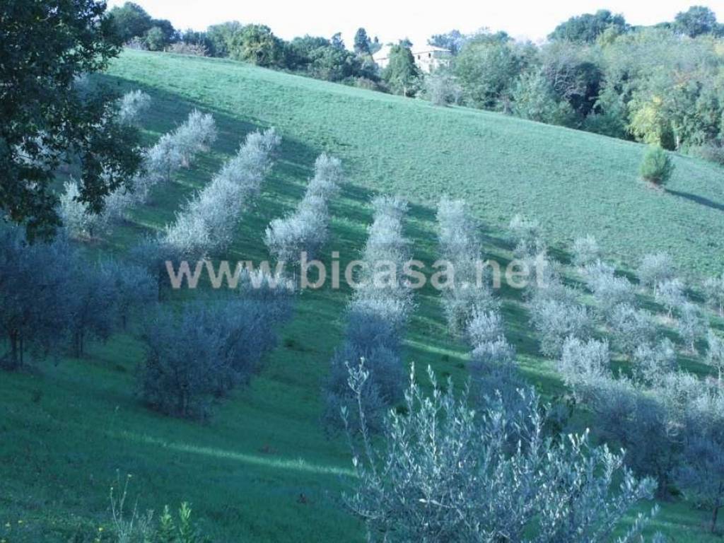 Terreno a Pesaro in Strada Madonna del Monte - Foto 3