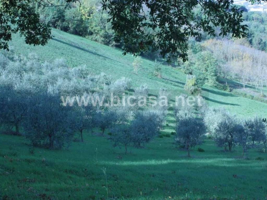 Terreno a Pesaro in Strada Madonna del Monte - Foto 4
