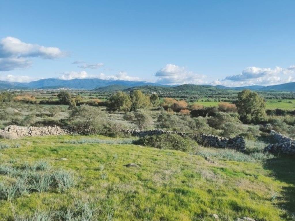 Terreno a Villaperuccio in Is Grazias - Foto 2