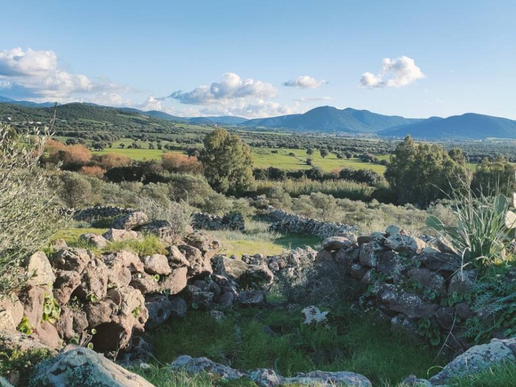 Terreno a Villaperuccio in Is Grazias - Foto 4