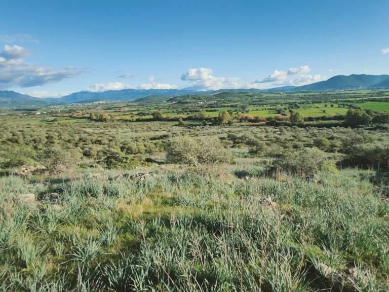 Terreno a Villaperuccio in Is Grazias - Foto 5