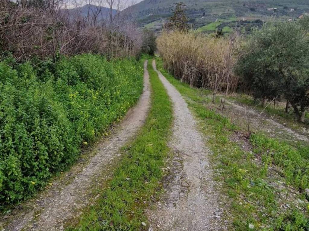 Terreno a Bolognetta in Contrada Mulino S.N.C. - Foto 4