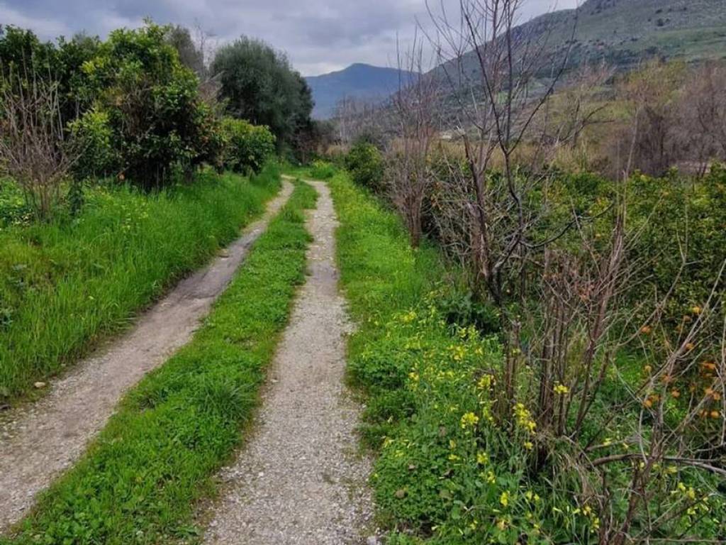 Terreno a Bolognetta in Contrada Mulino S.N.C. - Foto 5