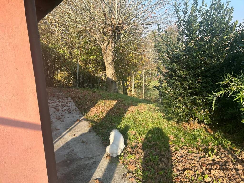 Casa indipendente a San damiano d'asti in Via Trieste, 7 - Foto 2