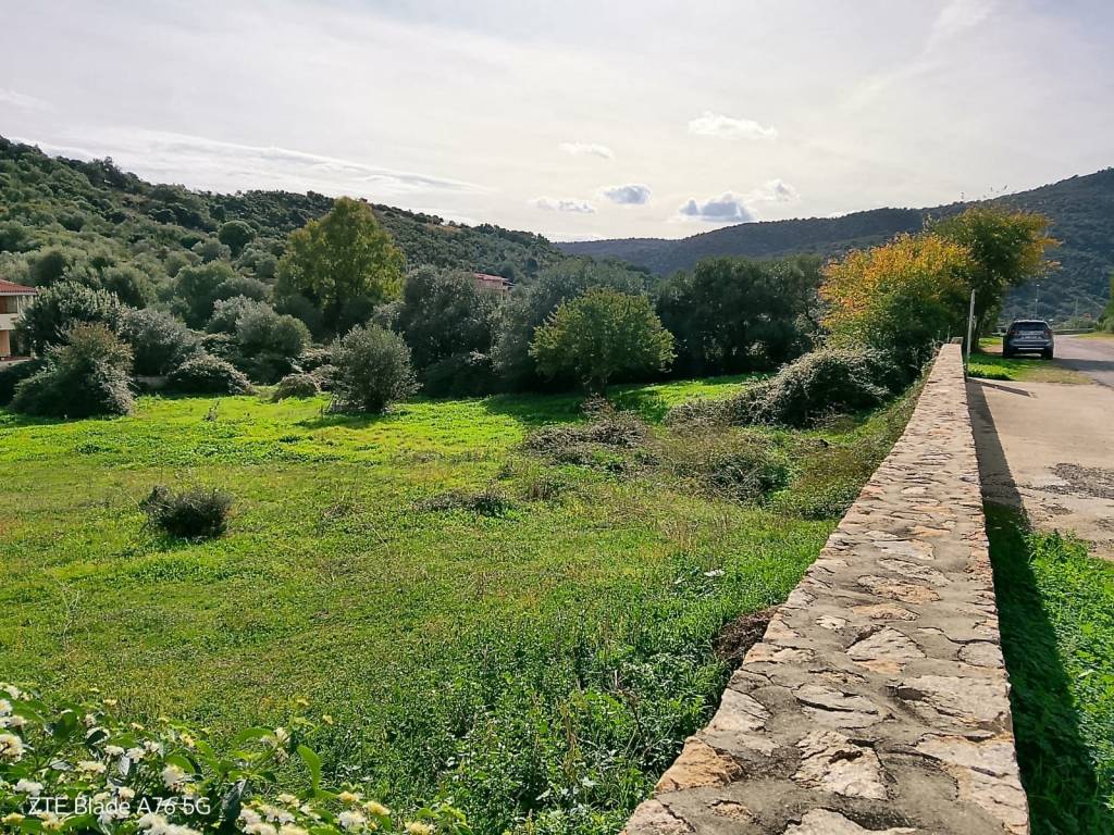 Terreno a Budoni - Foto 4