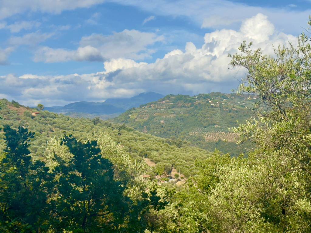 Terreno a Dolceacqua in Via Monsignor Bartolomeo Tornatore - Foto 3