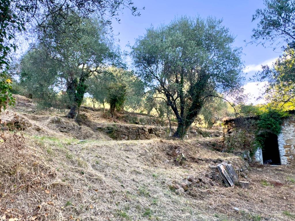 Terreno a Dolceacqua in Via Monsignor Bartolomeo Tornatore - Foto 5