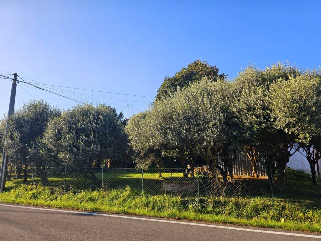 Terreno a Este in Via Chiesa Prà - Foto 5