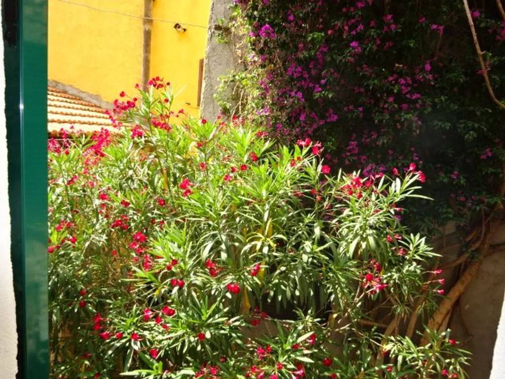 Appartamento a Cipressa in Via Garibaldi, 73 - Foto 4