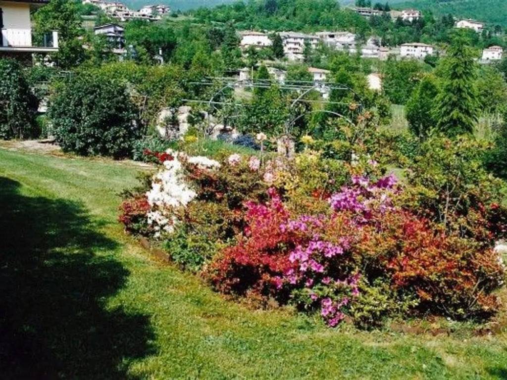 Villa a Piazza al serchio in Via Ducale, 16 - Foto 3