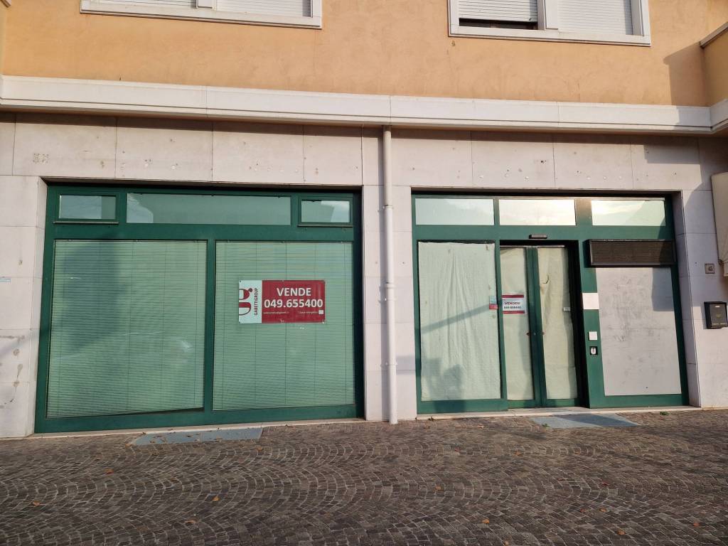 Immobile a Vittorio veneto in Viale Virgilio, 43 - Foto 4