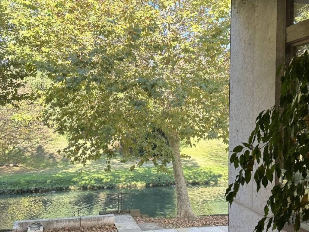 Immobile a Castelfranco veneto in Via Roma - Foto 4