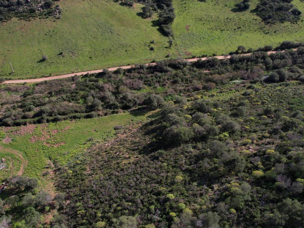 Terreno a Loiri porto san paolo in Via Monte Tuttavista - Foto 4